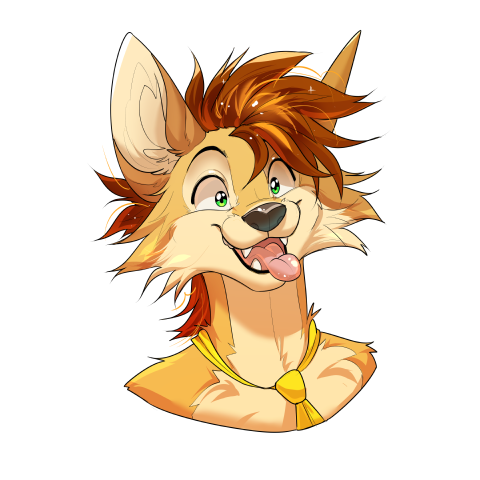 Head sketch